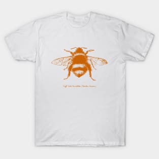 Bumblebee - Illustration in burnt orange T-Shirt